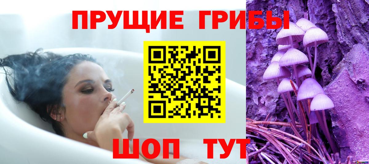 закладки  Вход с VPN  Белгород  Галлюциногенные грибы Cubensis 